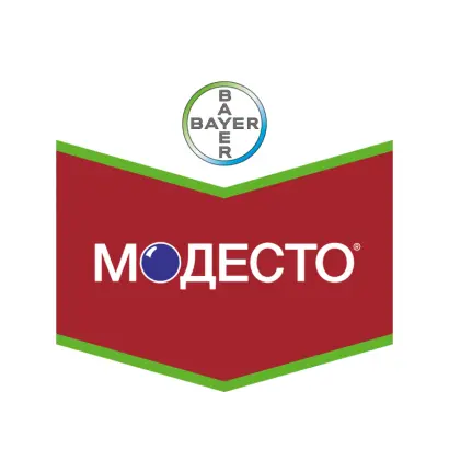 Модесто 480 FS