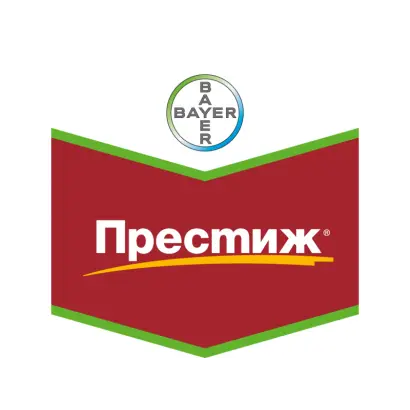 Престиж 290 FS