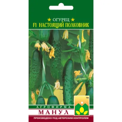 Настоящий полковник F1 