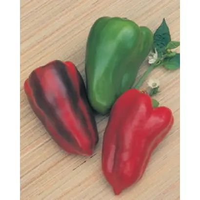 Центурион F1 