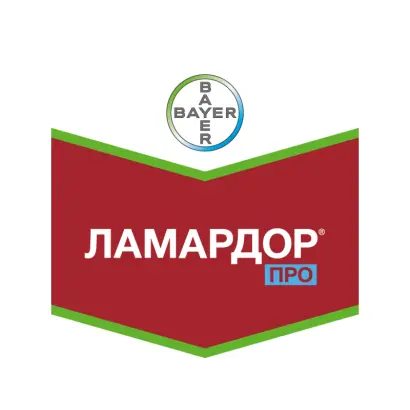 Ламардор Про