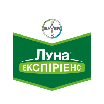 Луна Экспириенс