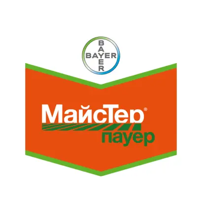 Майстер Пауэр