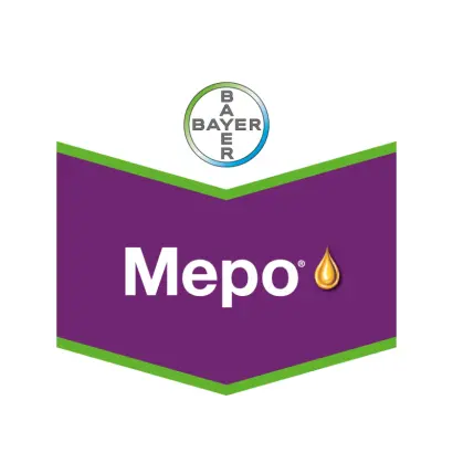 Меро
