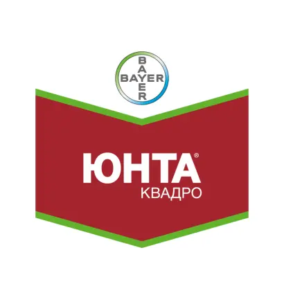 Юнта Квадро