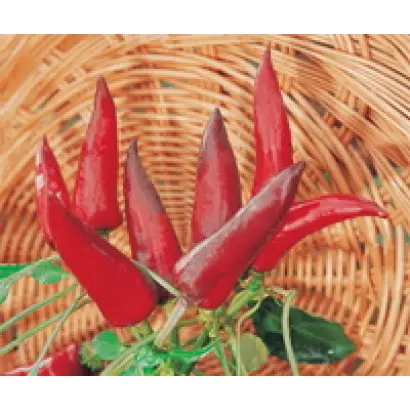 Таинственный остров