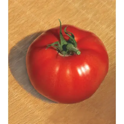 Большой брат F1 