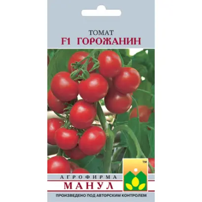 Горожанин F1 