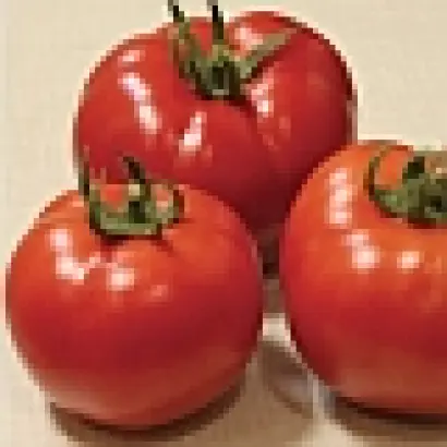 Партнер Семко F1