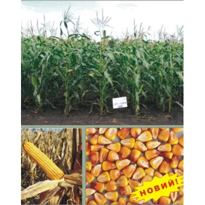 Слобожанський МВ