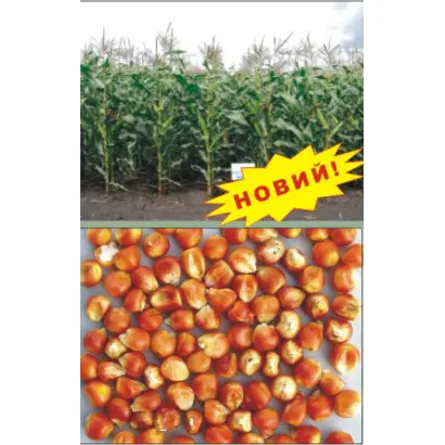 Індустрія МВ / Индустрия МВ