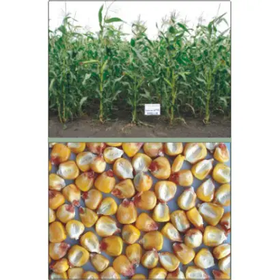 Харківський 340 МВ / Харьковский 340 МВ