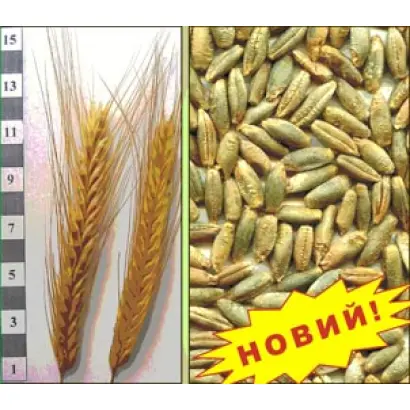 СЛОБОЖАНЕЦЬ F 1