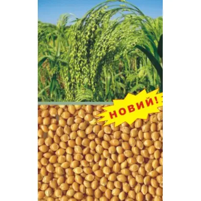 КОНСТАНТИНІВСЬКЕ / КОНСТАНТИНОВСКОЕ