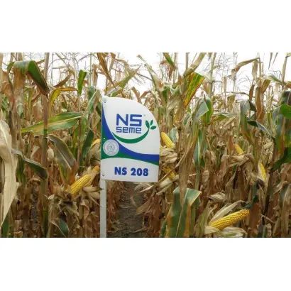НС-208 / NS-208