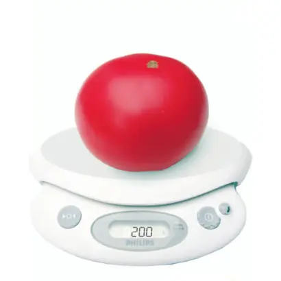 Фенда F1 / Fenda F1