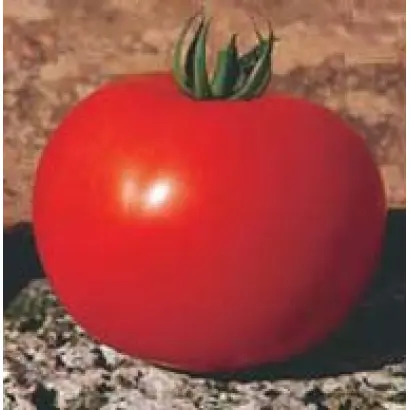 ЭСМЕРАЛЬДА F1