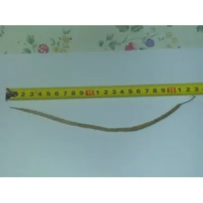 АНДРОИД ФТ-99 / ANDROID FT- 99