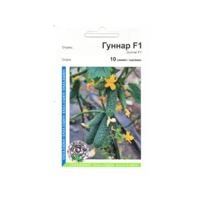 Гуннар F1 / Gunnar F1