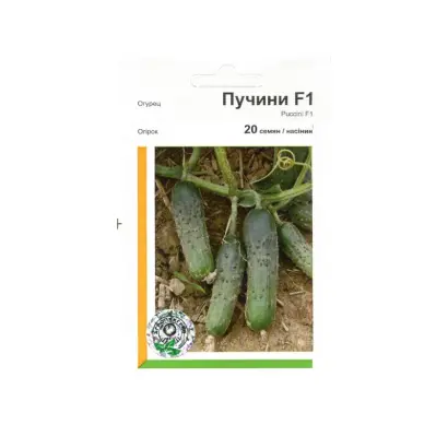 Пучини РЦ F1 / Puccini RZ F1