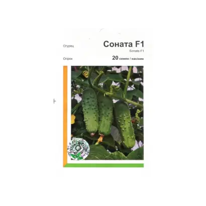Соната РЦ F1 / Sonate RZ F1