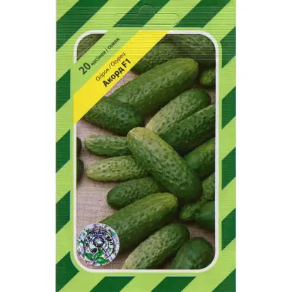 Аккорд F1 / Akord F1