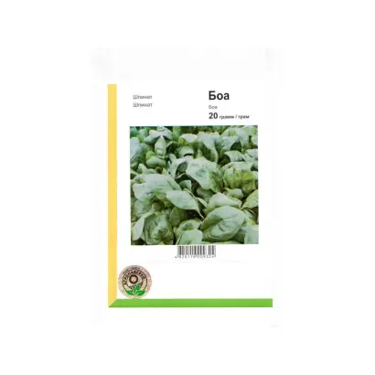 Боа