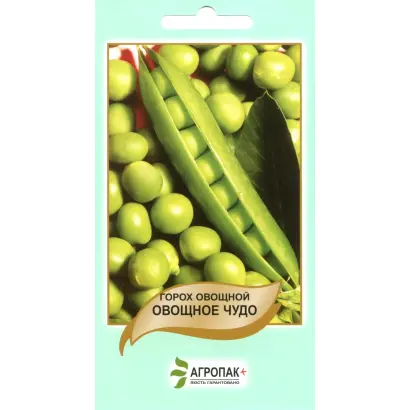 Овощное чудо