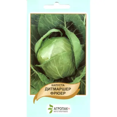 Дитмаршер Фрюер