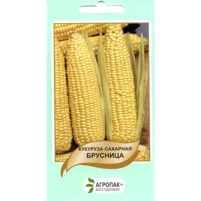 БРУСНИЦА