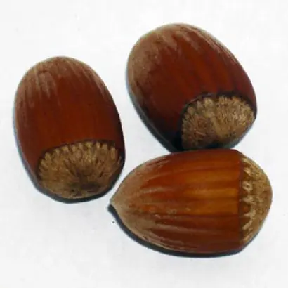 Давыдивский 