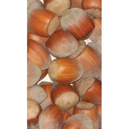 Варшавский красный