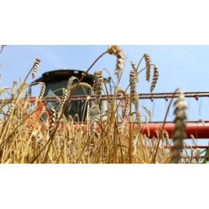 Уборка зерновых культур