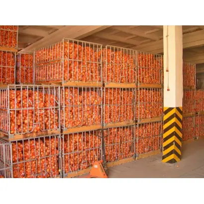 Хранение овощей, картофеля, лука