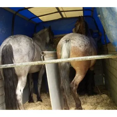 Перевозка лошадей, ВРХ