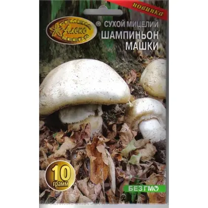 Шампиньон Машки