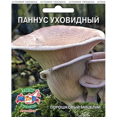 Паннус уховидный