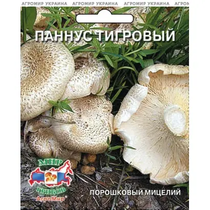 Паннус тигровый