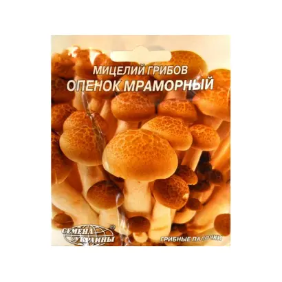 Опенок мраморный