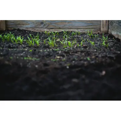 ГУМОПЛАНТ ПЛЮС