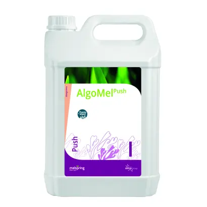 АЛГОМЕЛЬ ПУШ