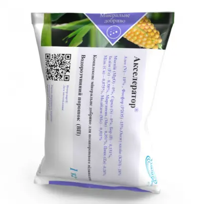 Акселератор