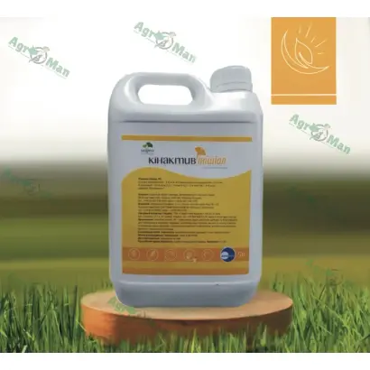 Кінактив Інішіал