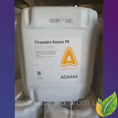 СКУДЕРО (SCUDERO)