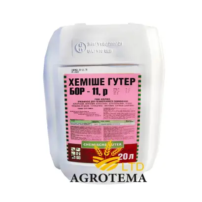 Хеміше Гутер