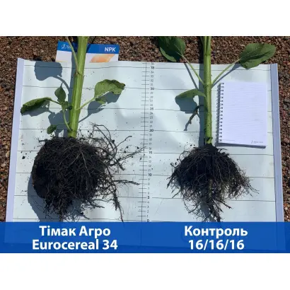ЄВРОСІРІАЛ 10-24-0