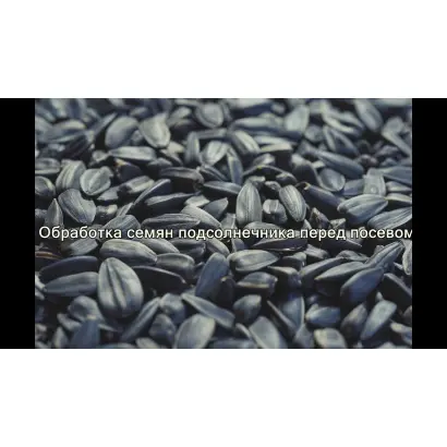 АГРОГУМАТ+7 (марки БАЗОВИЙ, БОР, ЦИНК+БОР, ДЕСТРУКТОР)