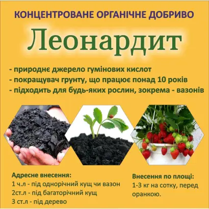 Леонардитне