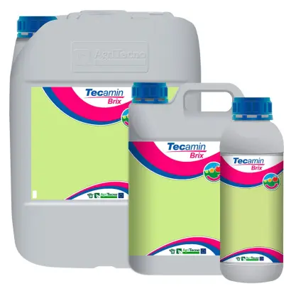 Текамін Брікс