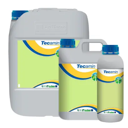 ТЕКАМІН ТЕХ ФРУТ